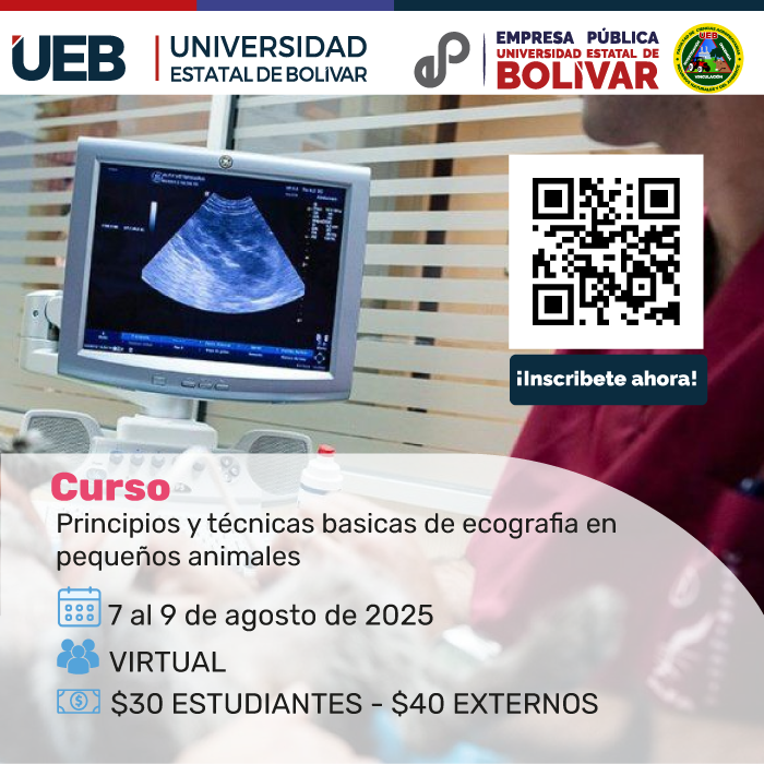 Imagen del Curso