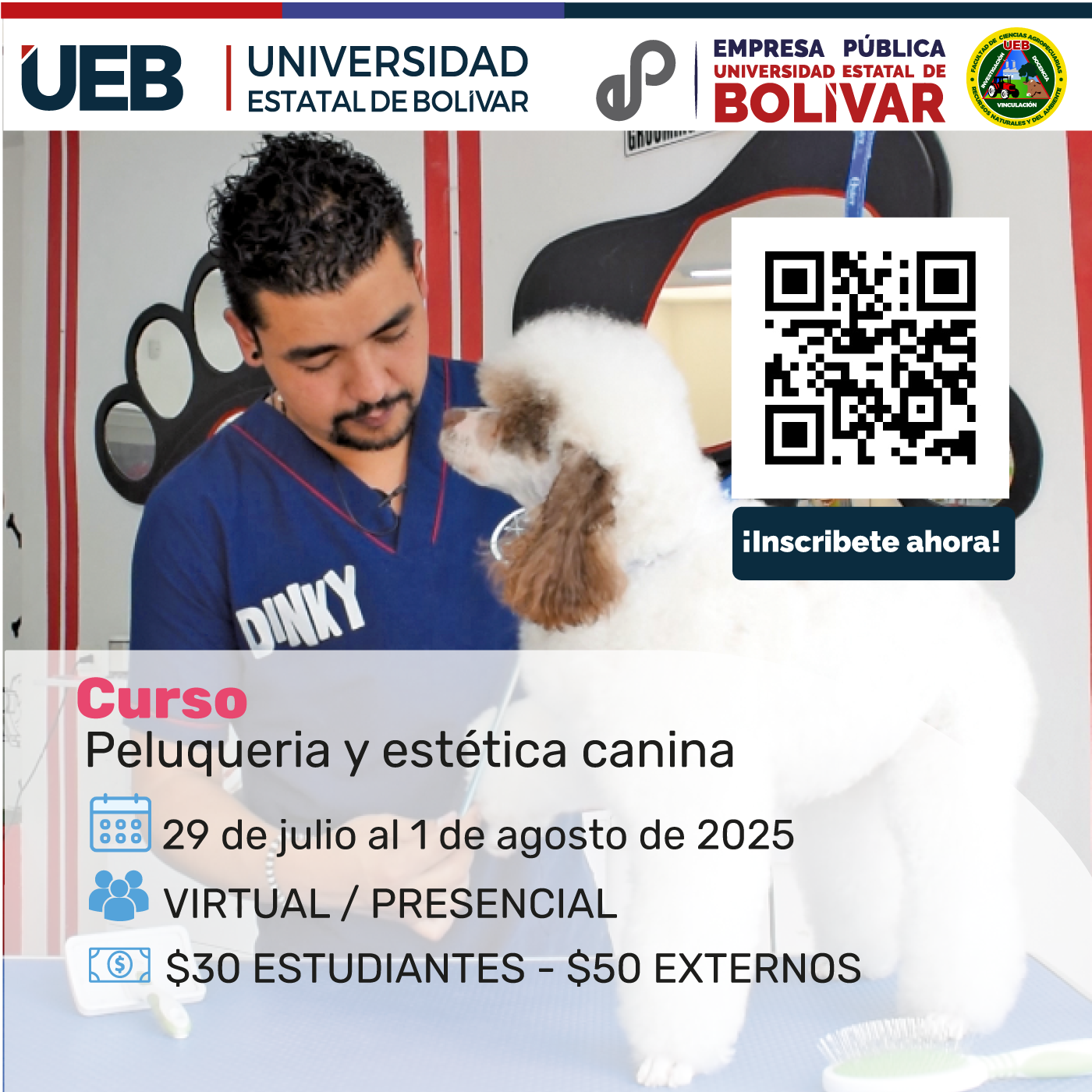 Imagen del Curso