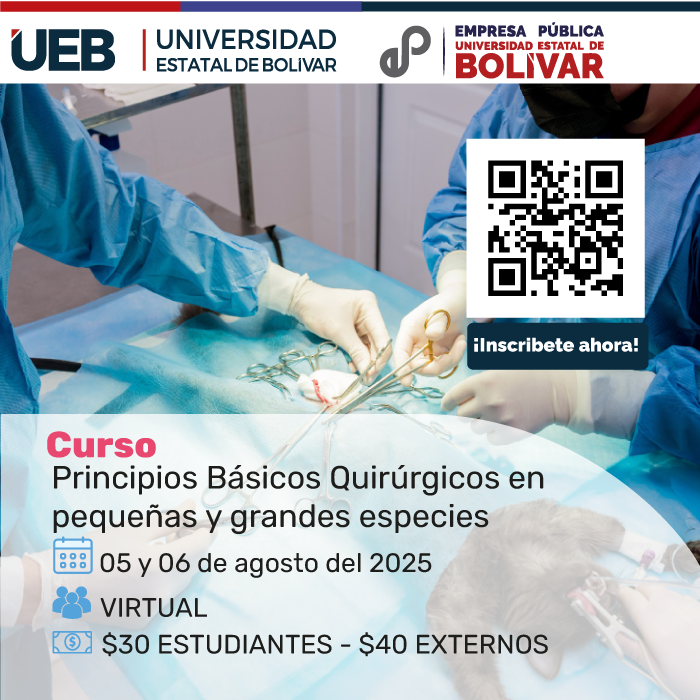 Imagen del Curso