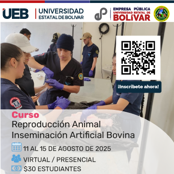 Imagen del Curso