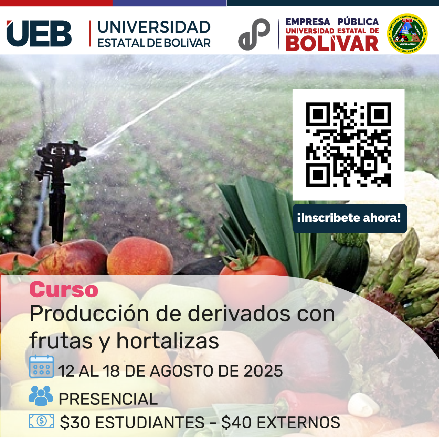 Imagen del Curso