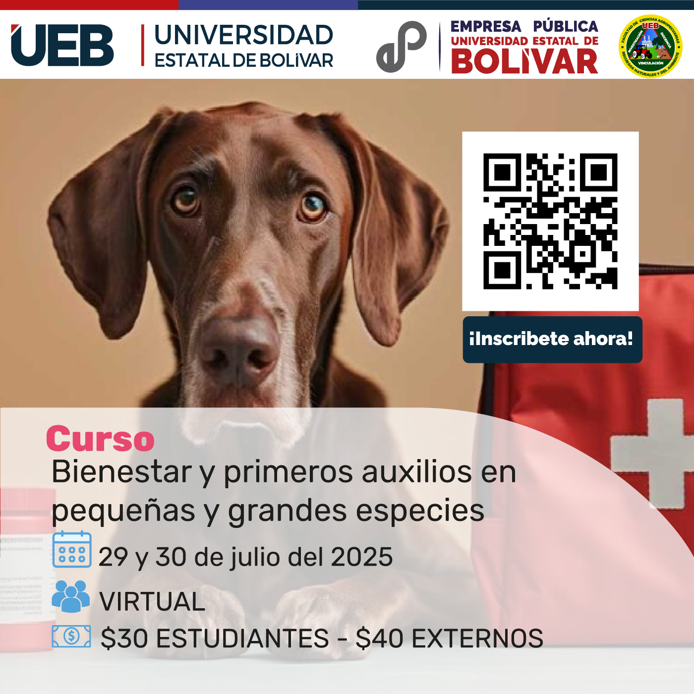 Imagen del Curso